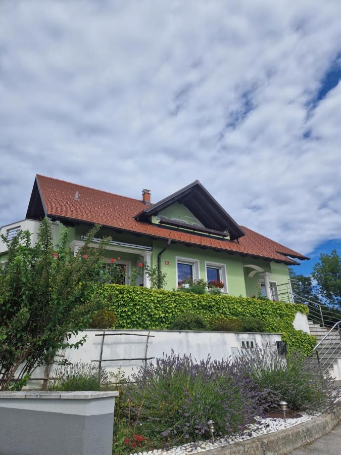 Green House Apartment Pivka Exterior foto